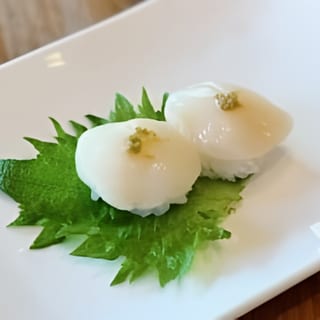 Hotate -Scallop