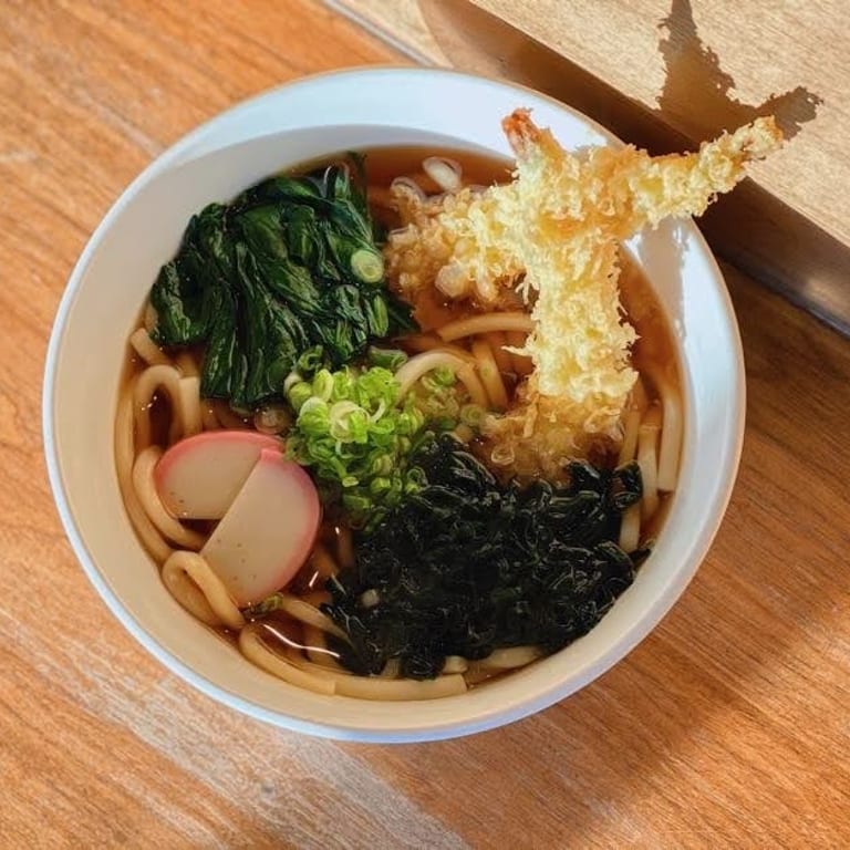Savor Our Udon Noodles