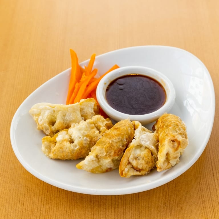 Delicious Gyoza: A Japanese Dumpling Delight